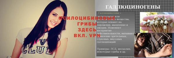 СК Алексин
