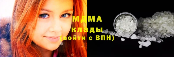 СК Алексин