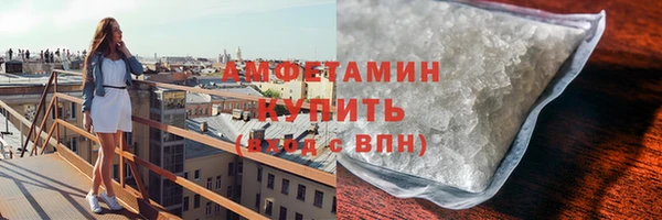 СК Алексин