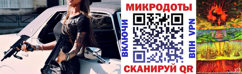 Галлюциногенные грибы Psilocybine cubensis  наркошоп  Кадников 